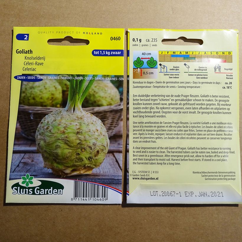 Example of Knollensellerie Goliath per pack of 235 seeds as you get