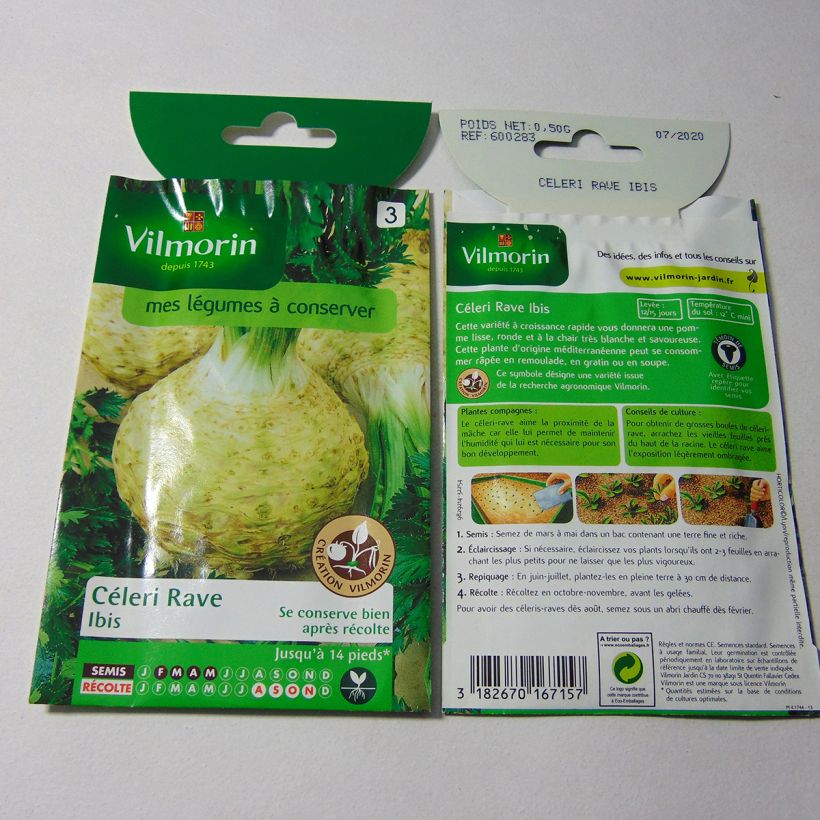 Example of Knollensellerie Ibis per pack of 1250 seeds (0.5g) as you get