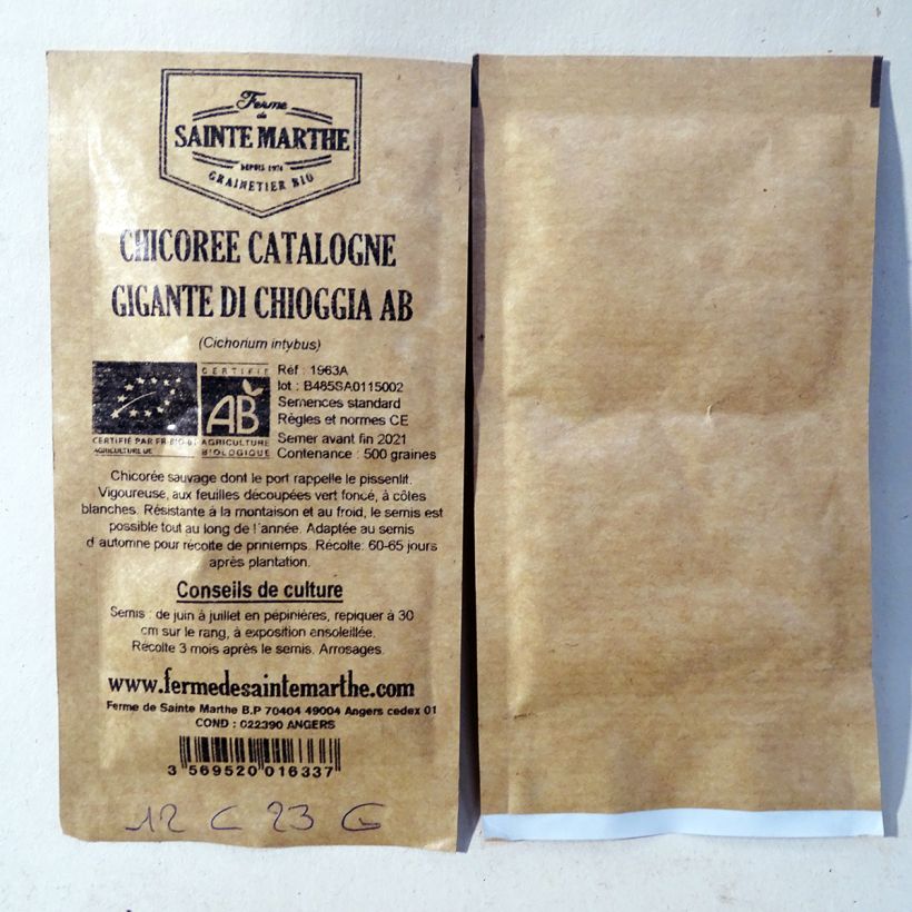 Example of Blattzichorie Catalogne Gigante di Chioggia Bio - Ferme de Sainte Marthe per pack of 500 seeds as you get