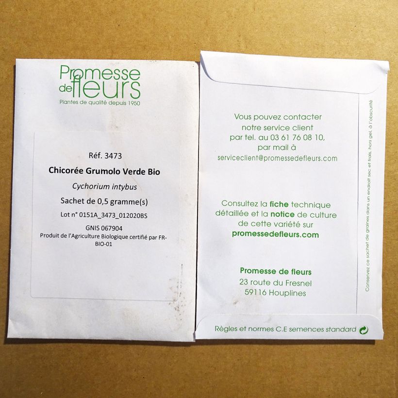 Example of Zichoriensalat Grumolo Verde Bio per pack of 300 seeds (0.5g) as you get