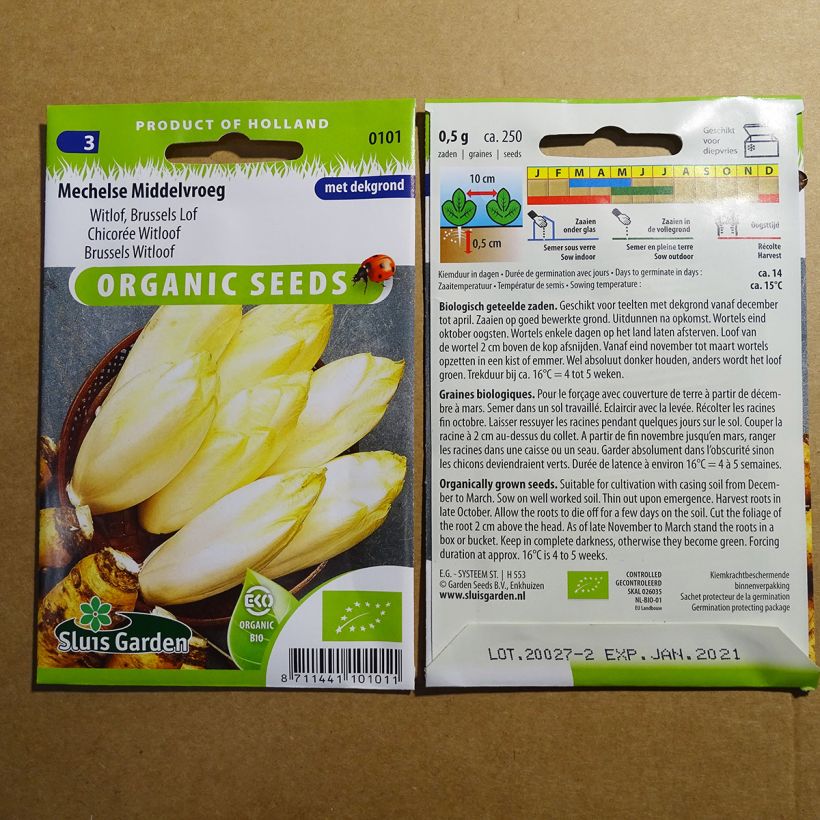 Example of Winterendivie Witloof Mechelse Middelvroeg Bio per pack of 600 seeds (1g) as you get