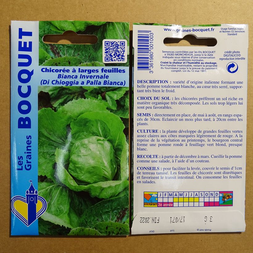 Example of Blattzichorie Bianca invernale ( di chioggia a palla Bianca ) per pack of 1800 seeds (3g) as you get