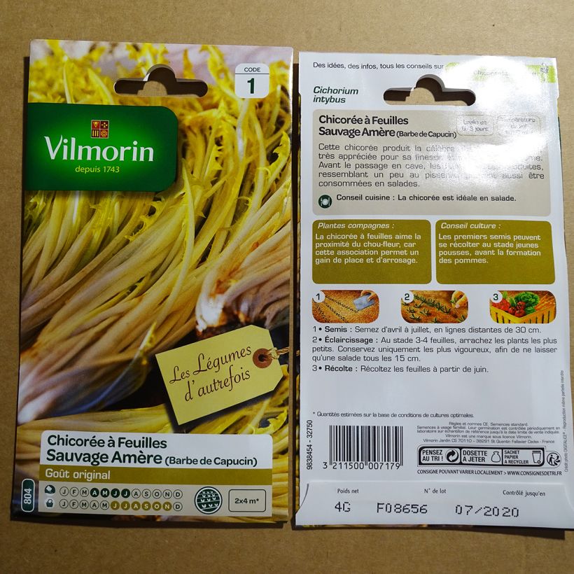 Example of Blattzichorie à larges feuilles Amère type Barbe de Capucin - Vilmorin per pack of 2400 seeds (4g) as you get