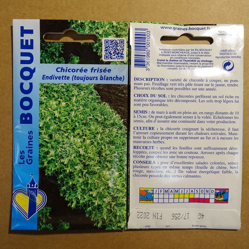 Example of Endivie Endivette per pack of 2400 seeds (4g) as you get