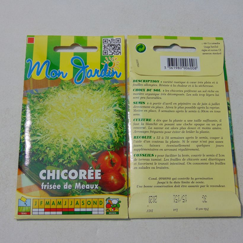 Example of Endivie Fine de Meaux per pack of 2500 seeds (4g) as you get