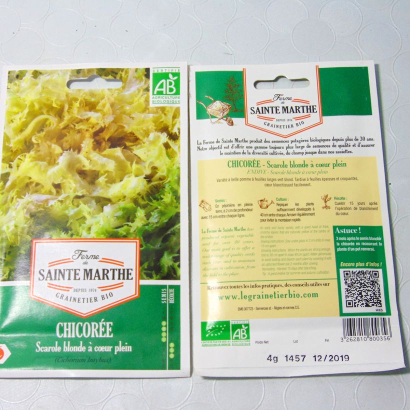 Example of Endivie Escariol Blonde à Coeur Plein Bio - Ferme de Sainte Marthe per pack of 2500 seeds (4g) as you get