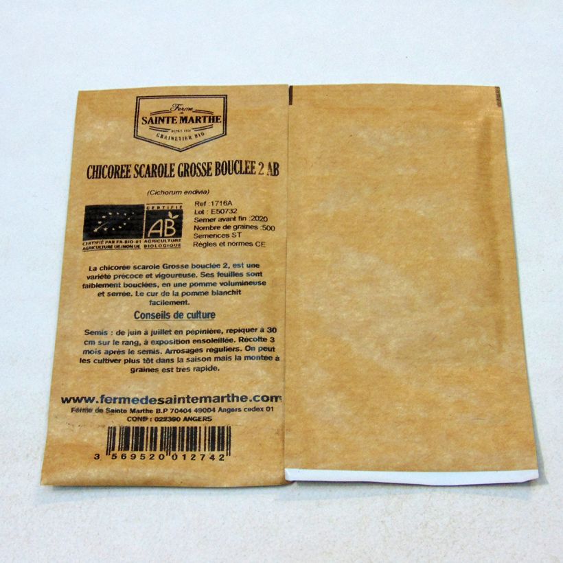 Example of Endivie Escariol Grobo 2 AB Bio - Ferme de Sainte Marthe per pack of 500 seeds as you get