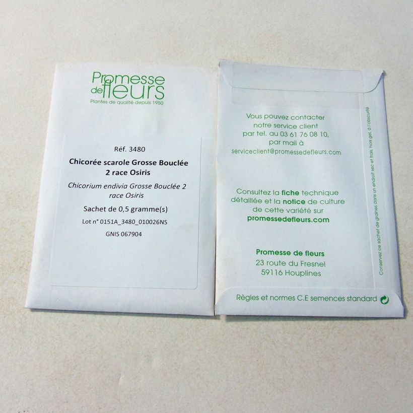 Example of Endivie Escariol Grobo 2 race Osiris per pack of 300 seeds (0.5g) as you get