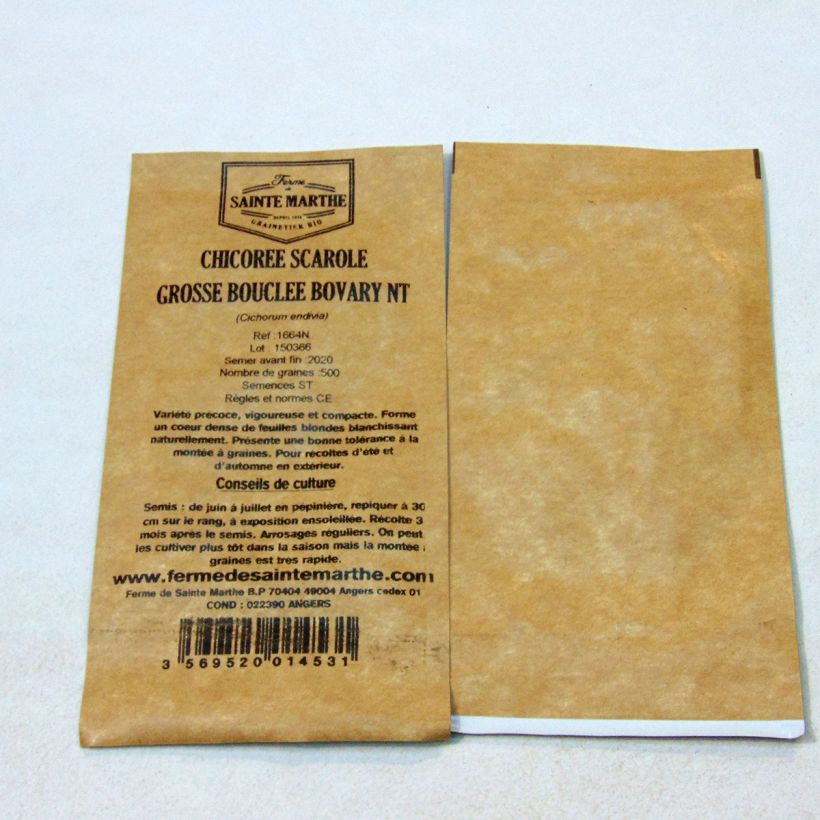 Example of Endivie Escariol Grobo Bovary NT - Ferme de Sainte Marthe per pack of 500 seeds as you get