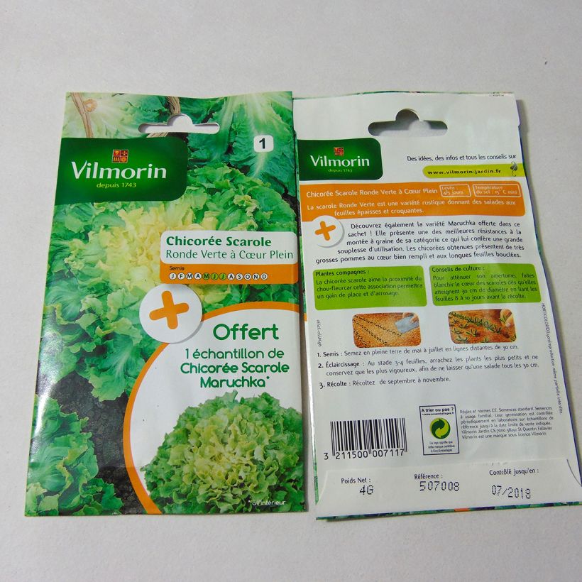 Example of Endivie Escariol Ronde verte à cœur plein - Vilmorin per pack of 2400 seeds (4g) as you get