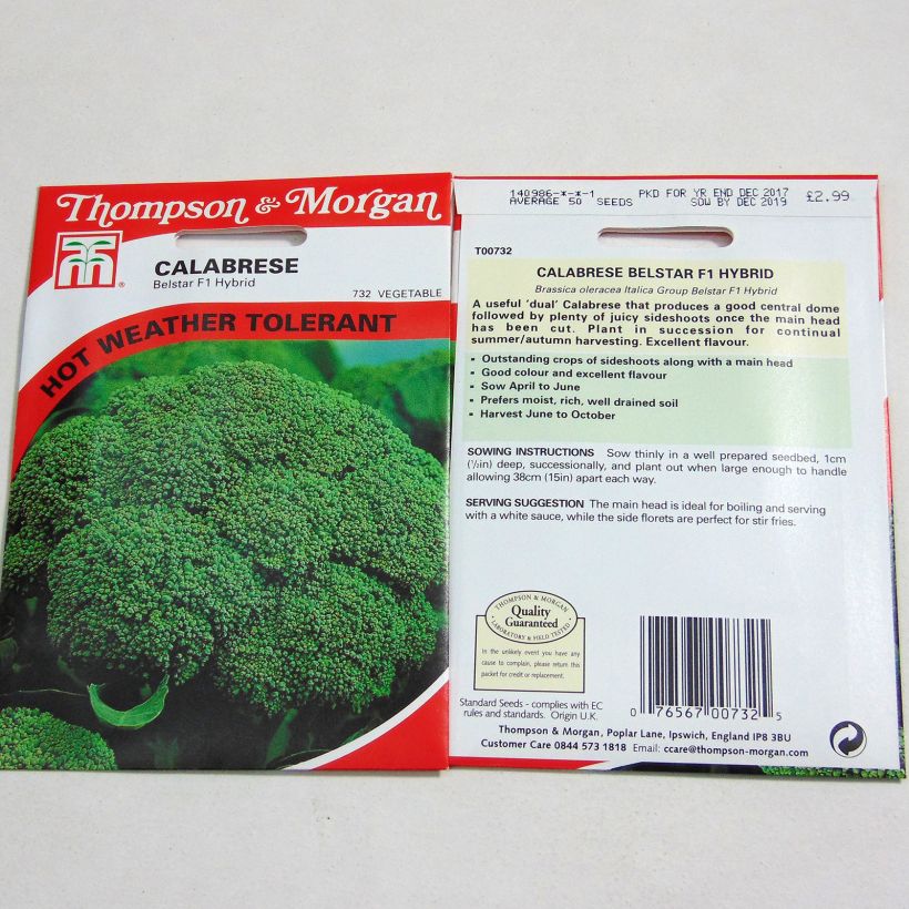 Example of Brokkoli Belstar F1 per pack of 50 seeds as you get