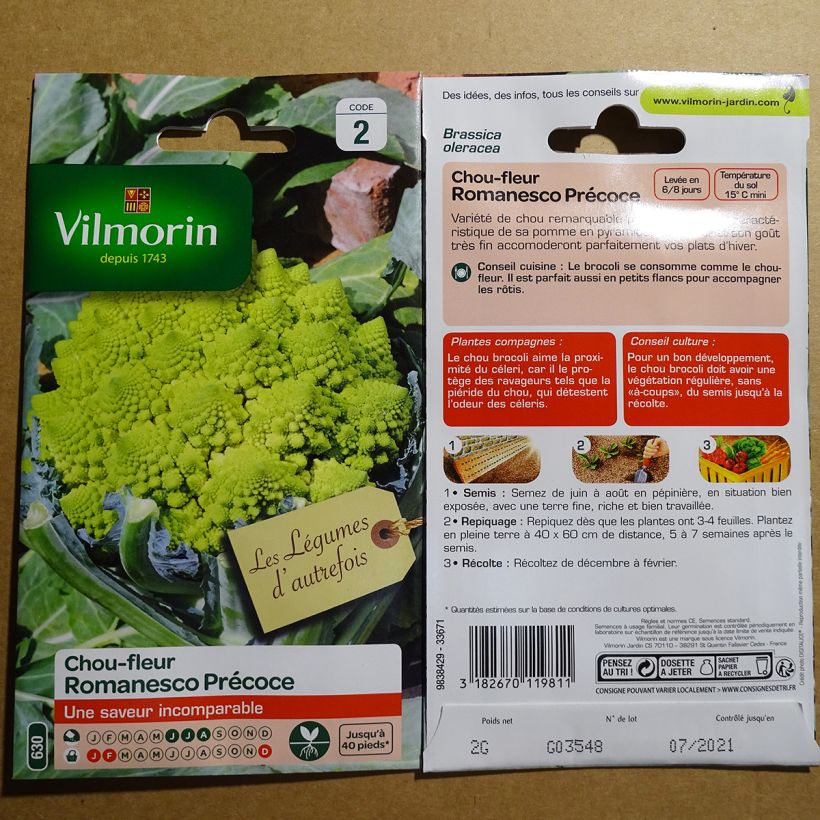 Example of Brokkoli Romanesco - Vilmorin per pack of 800 seeds (2g) as you get
