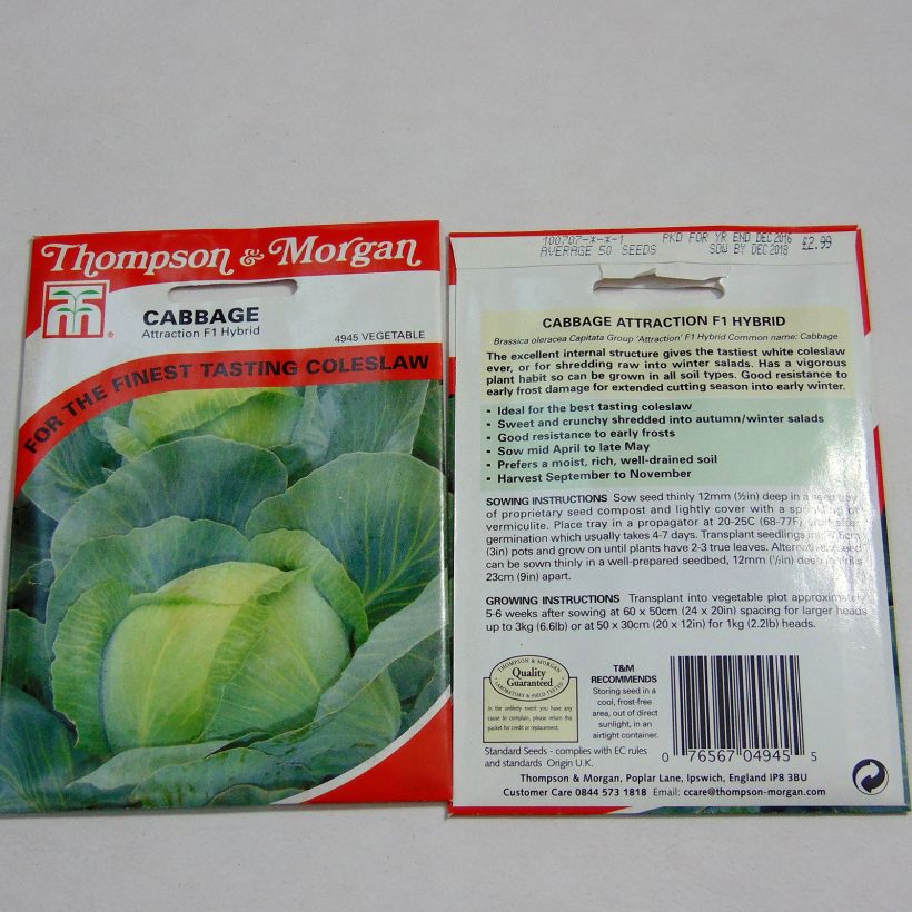 Example of Kopfkohl Attraction per pack of 50 seeds as you get