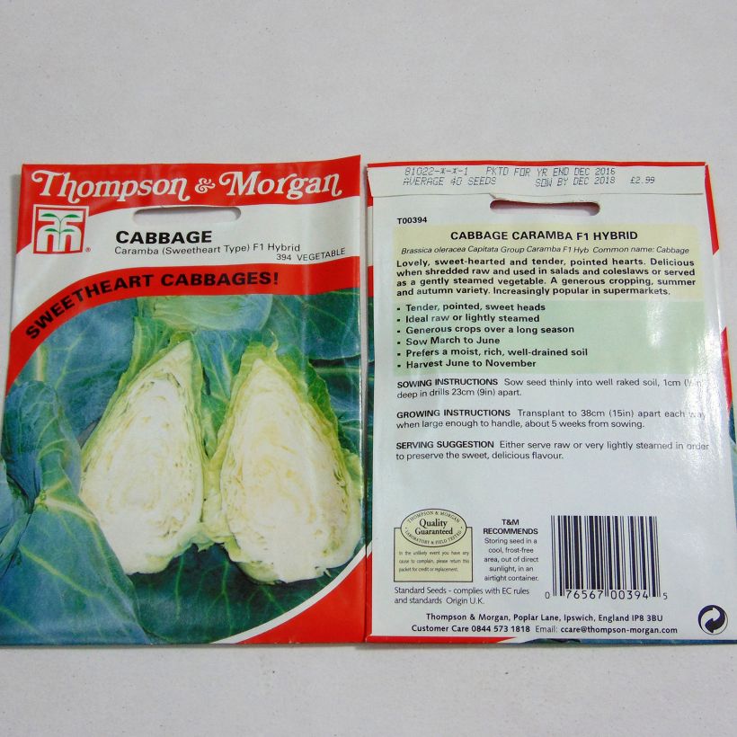 Example of Kopfkohl Caramba F1 per pack of 40 seeds as you get