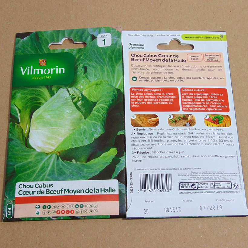 Example of Kopfkohl Cœur de Bœuf Moyen de la Halle - Vilmorin per pack of 800 seeds (2g) as you get