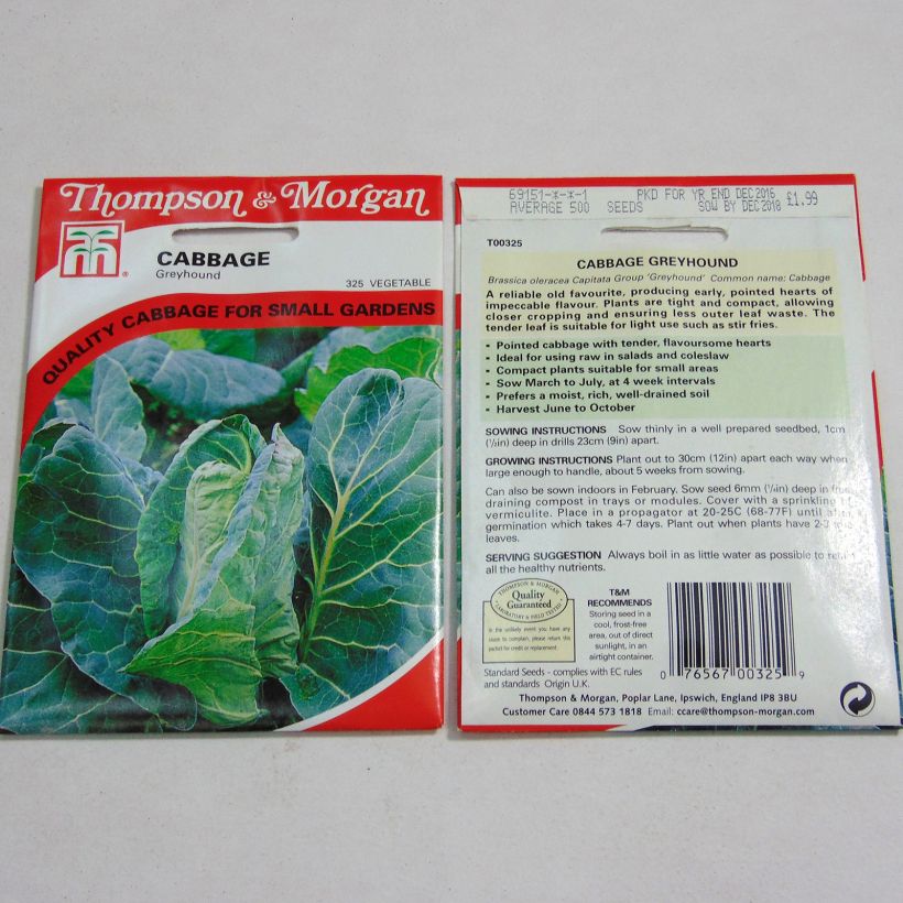 Example of Spitzkohl Greyhound per pack of 500 seeds as you get