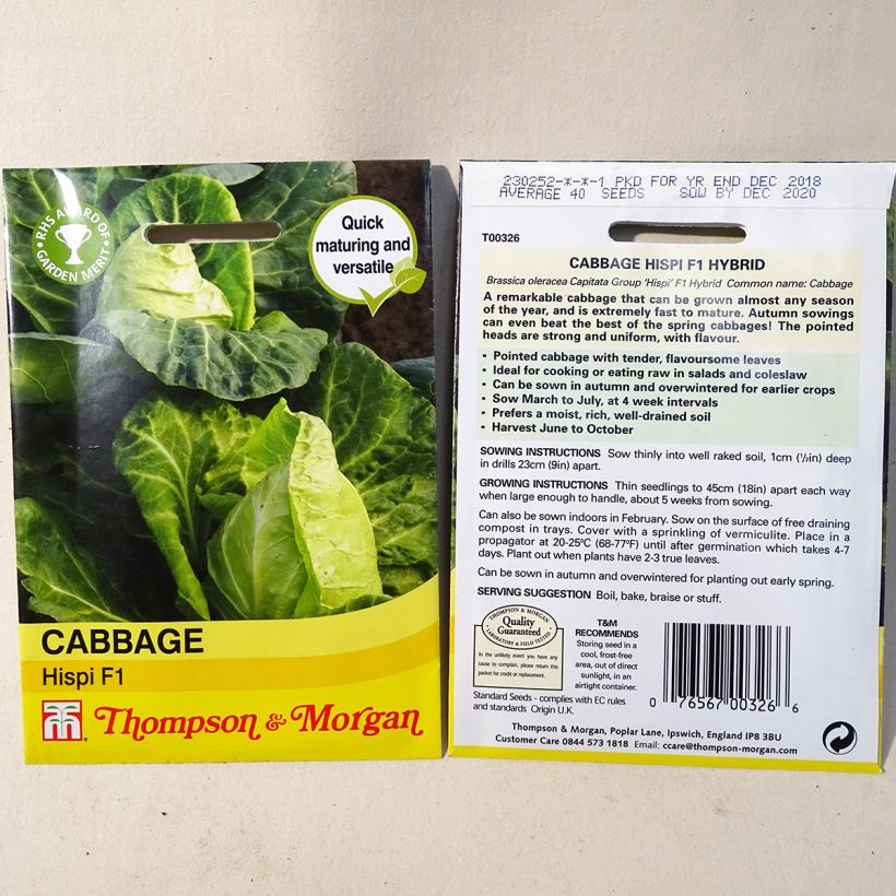 Example of Kopfkohl Hispi F1 per pack of 40 seeds as you get