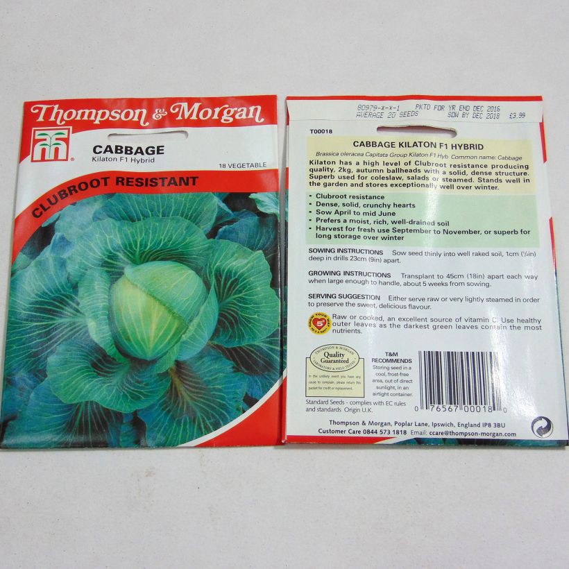 Example of Kopfkohl Kilaton F1 per pack of 20 seeds as you get