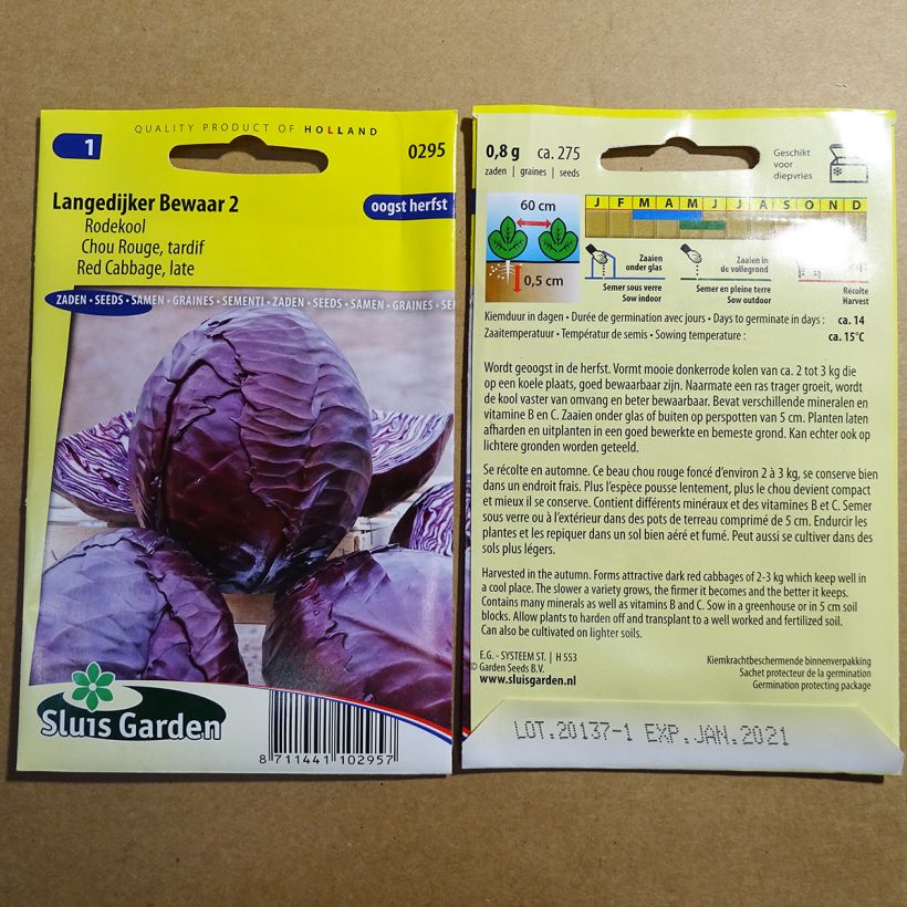 Example of Rotkohl Langedijker Bewaar 2 per pack of 275 seeds as you get