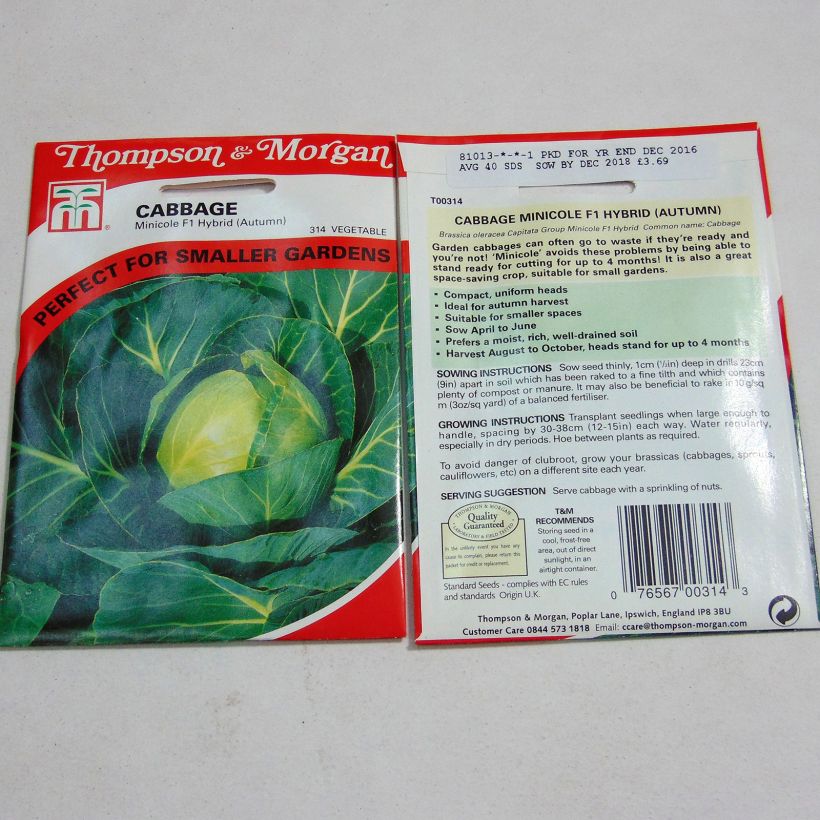 Example of Kopfkohl Minicole F1 per pack of 40 seeds as you get