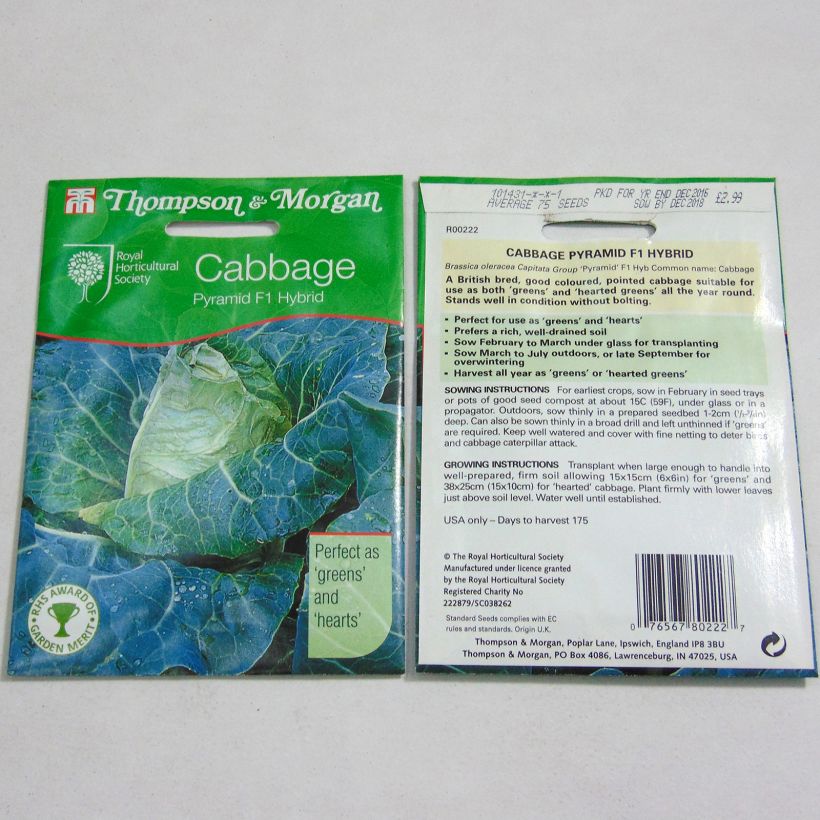 Example of Kopfkohl Pyramid F1 per pack of 75 seeds as you get