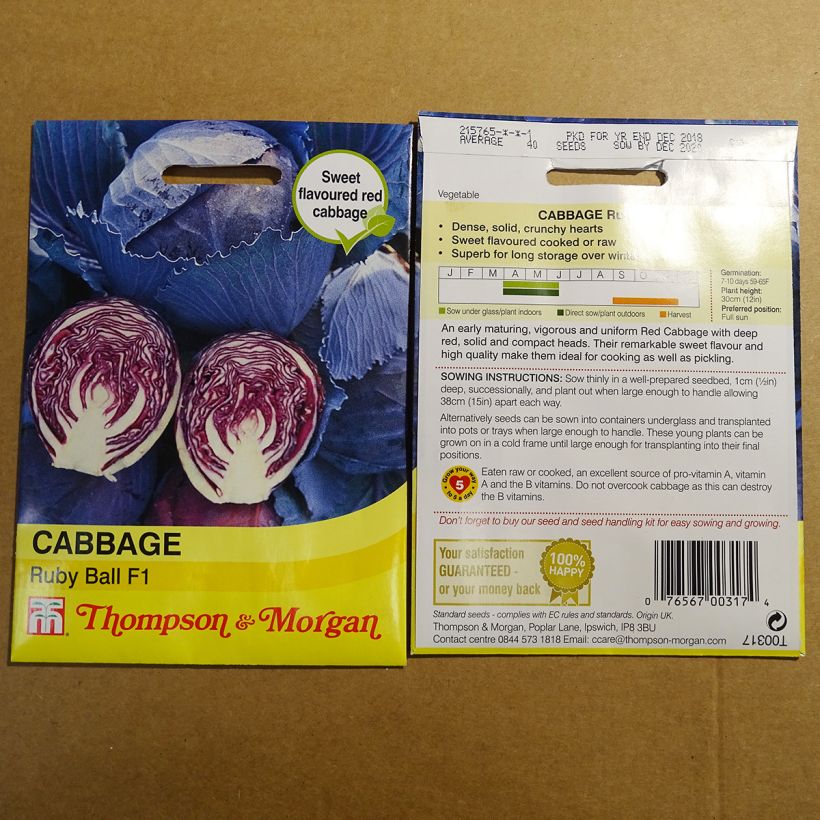 Example of Rotkohl Ruby Ball F1 per pack of 40 seeds as you get