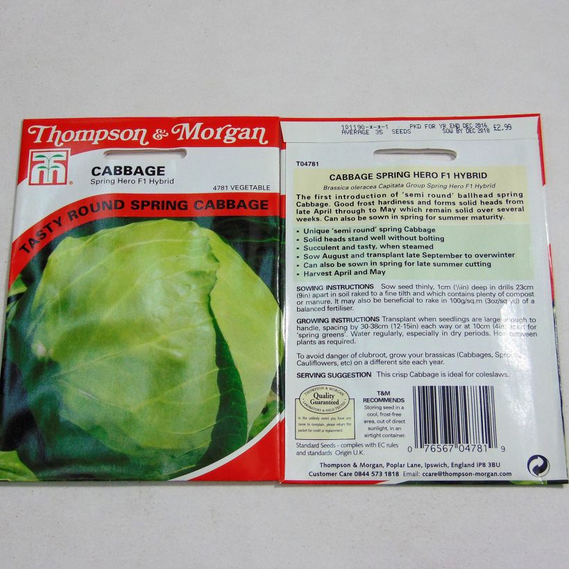 Example of Kopfkohl Spring Hero F1 per pack of 35 seeds as you get
