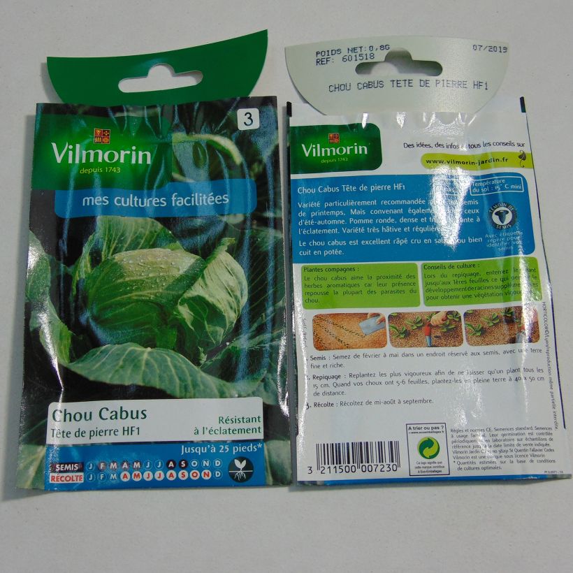 Example of Kopfkohl Tête de Pierre F1 - Vilmorin Samen as you get