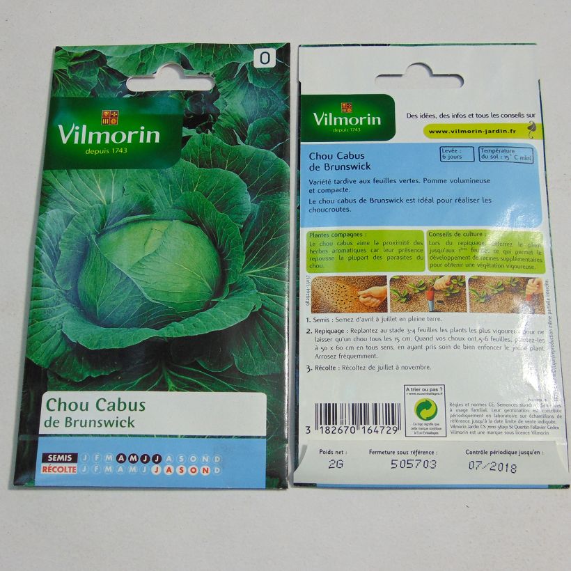Example of Weißkohl Brunswick - Vilmorin per pack of 800 seeds (2g) as you get