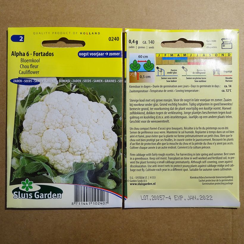 Example of Blumenkohl Alpha 6 Fortados die Tüte mit 140 Samen as you get
