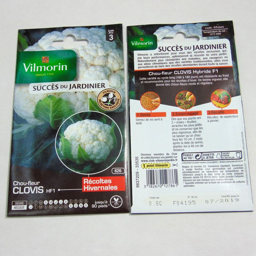 Example of Blumenkohl Clovis F1 - Vilmorin per pack of 320 seeds (0.8g) as you get