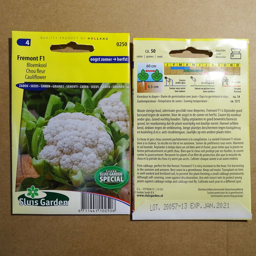 Example of Blumenkohl Fremont F1 die Tüte mit 50 Samen as you get