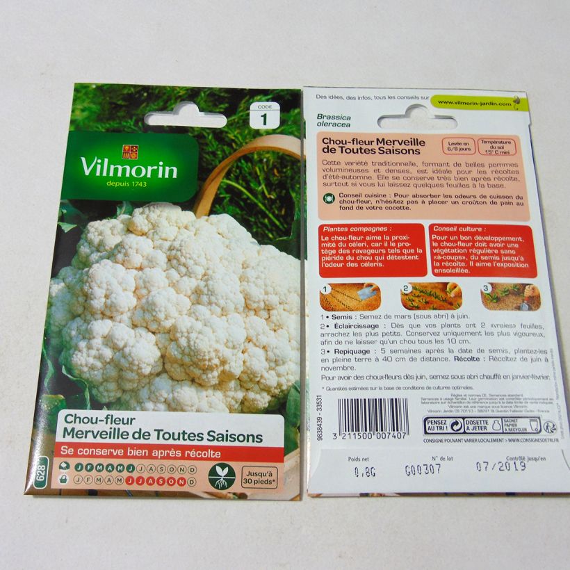 Example of Blumenkohl Merveille de Toutes Saisons - Vilmorin die Tüte mit 320 Samen (0.8g) as you get