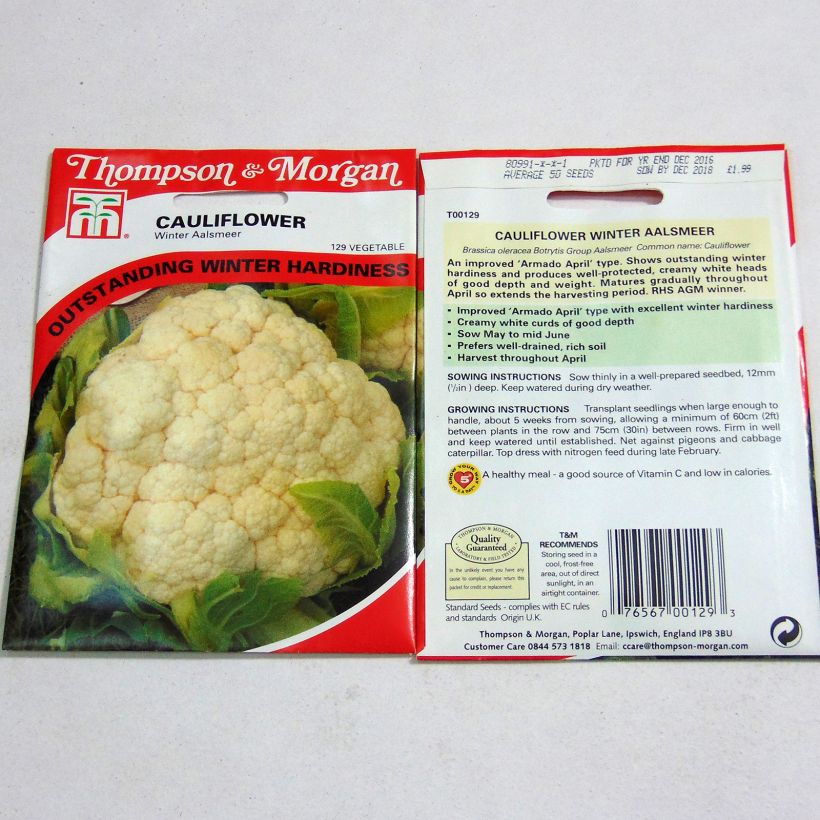 Example of Blumenkohl Winter Aalsmeer per pack of 50 seeds as you get