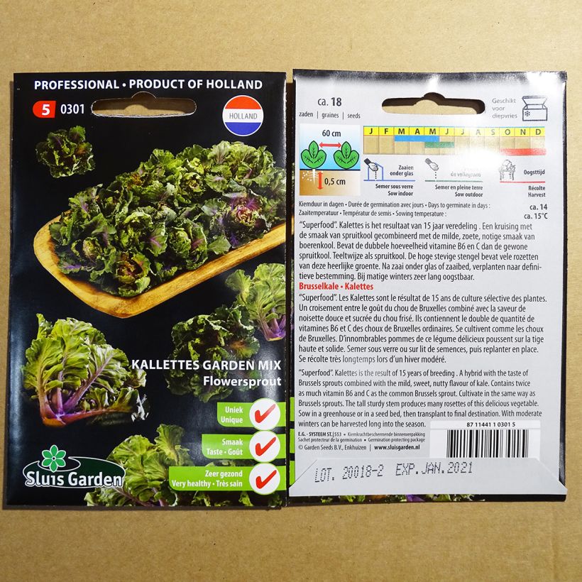 Example of Rosenkohl Kalettes Flower Sprout - Kalettes Garden Mix per pack of 18 seeds as you get
