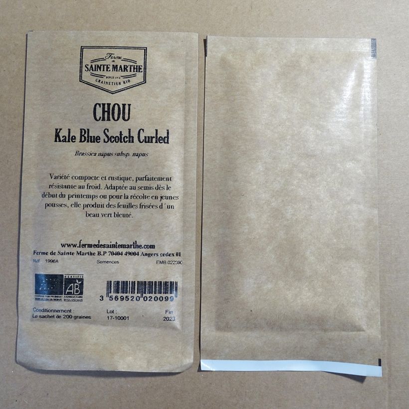 Example of Grünkohl Blue Scotch Curled - Ferme de Sainte Marthe per pack of 250 seeds (1g) as you get