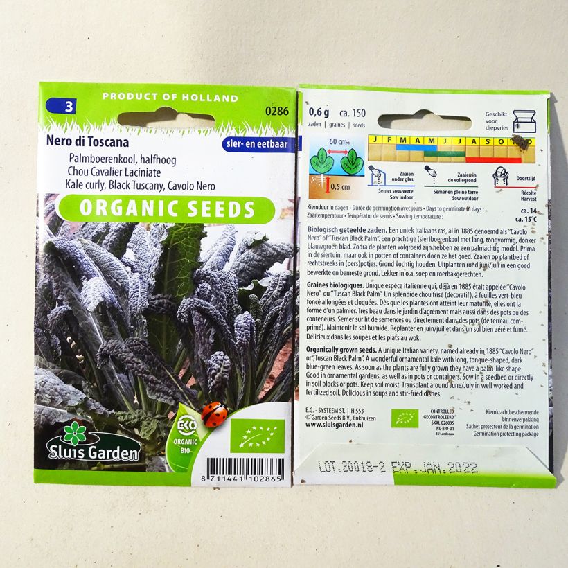 Example of Grünkohl Nero di Toscana Bio per pack of 150 seeds (0,7g) as you get