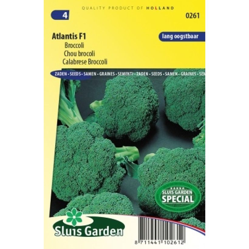 Example of Brokkoli Atlantis F1 Samen as you get