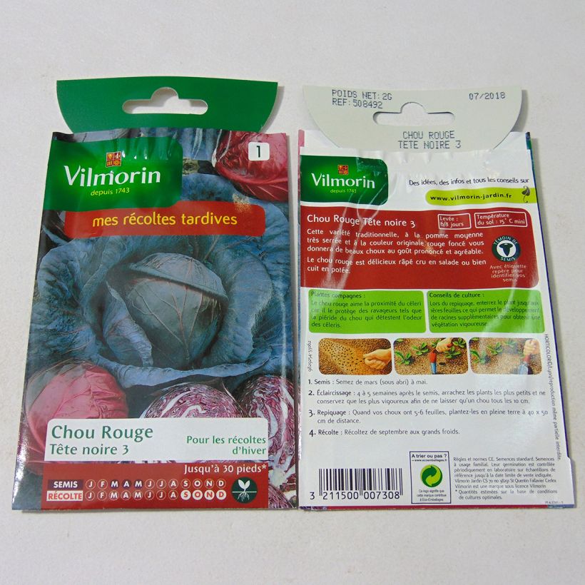 Example of Rotkohl Tête Noire 3 - Vilmorin per pack of 800 seeds (2g) as you get
