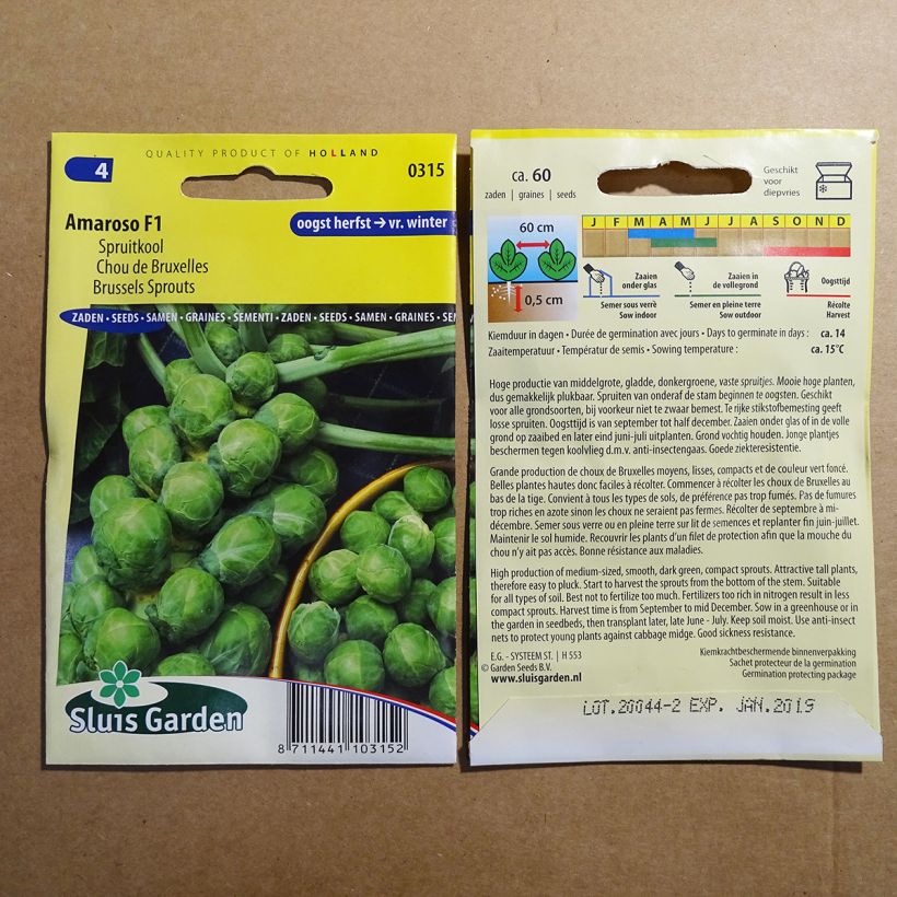 Example of Rosenkohl Amaroso F1 die Tüte mit 60 Samen as you get
