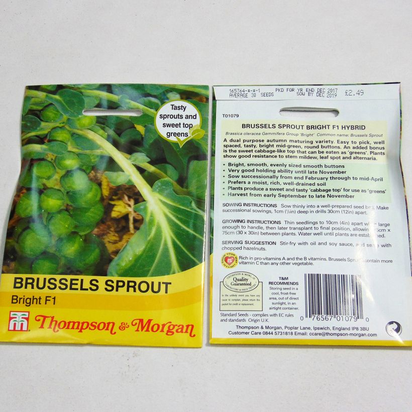 Example of Rosenkohl Bright F1 die Tüte mit 30 Samen as you get