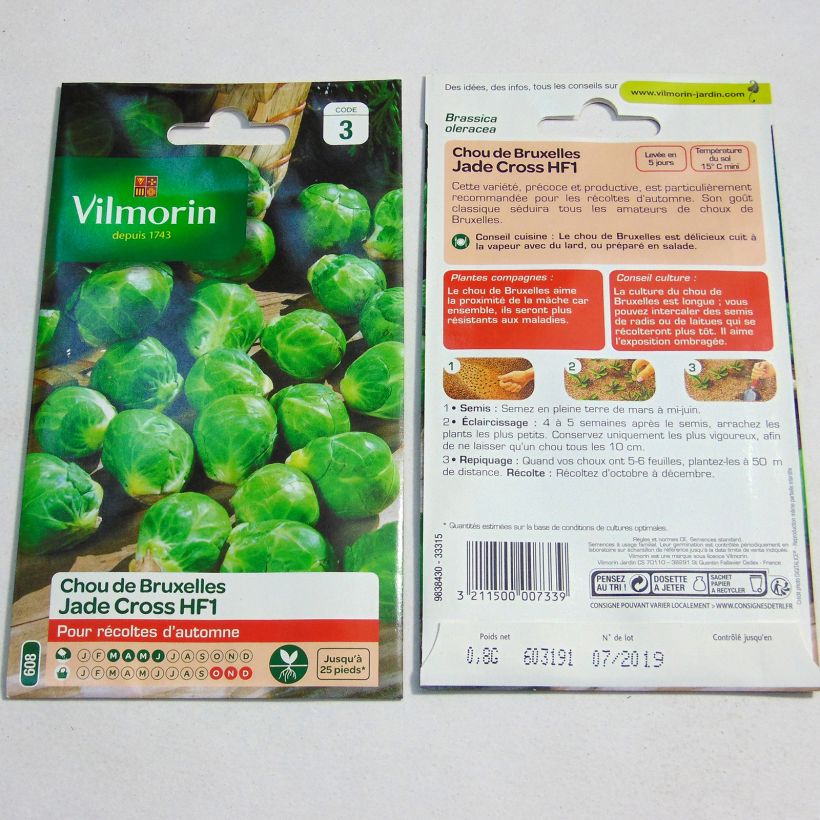 Example of Rosenkohl Jade Cross F1 - Vilmorin per pack of 325 seeds (0.8g) as you get