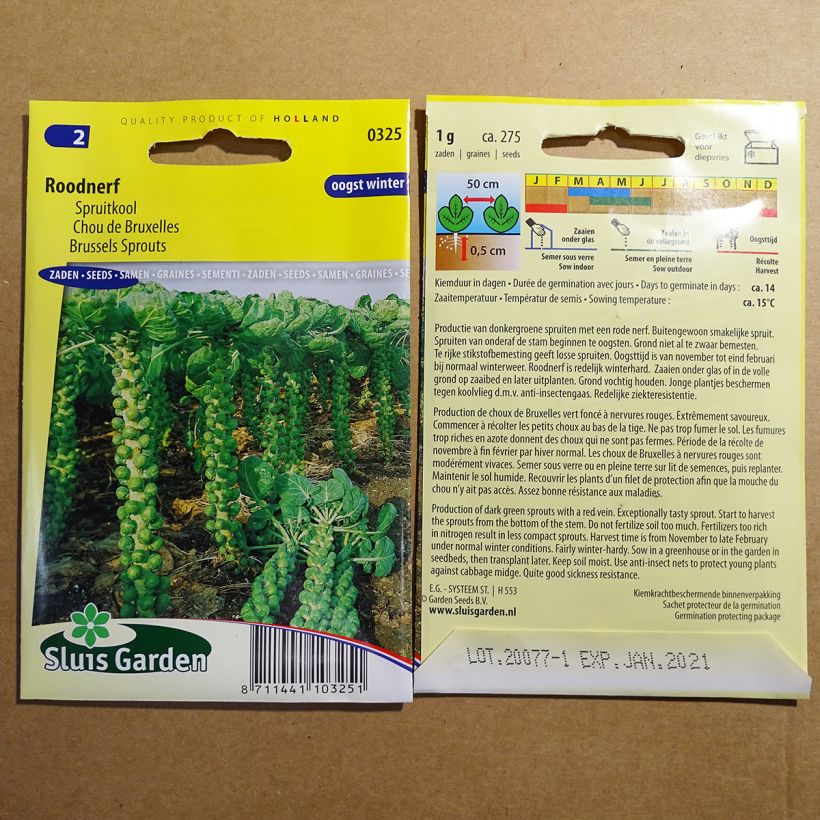 Example of Rosenkohl Roodnerf die Tüte mit 500 Samen (2g) as you get