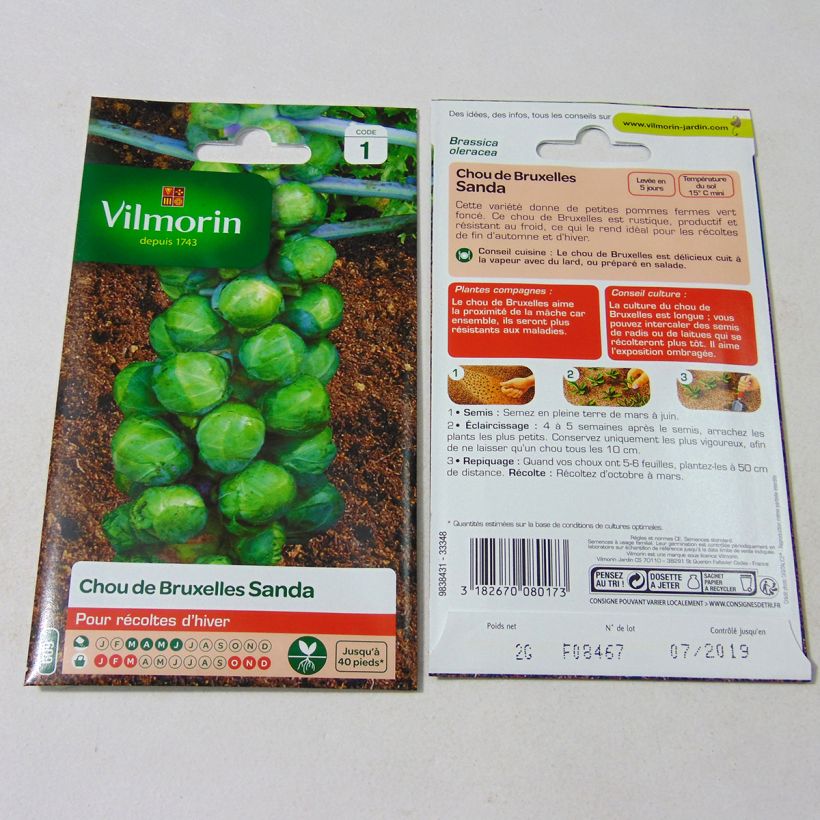 Example of Rosenkohl Sanda - Vilmorin die Tüte mit 800 Samen (2g) as you get