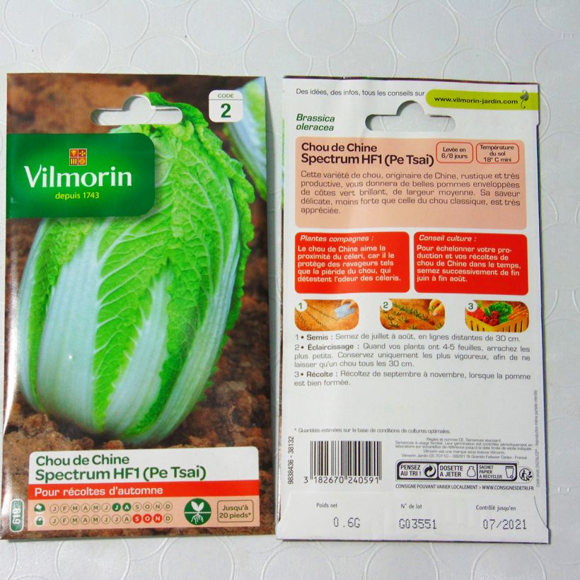 Example of China-Kohl Spectrum F1 - Vilmorin Samen as you get
