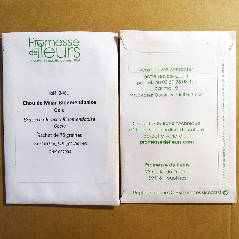 Example of Wirsing Bloemendaalse Gele per pack of 75 seeds as you get