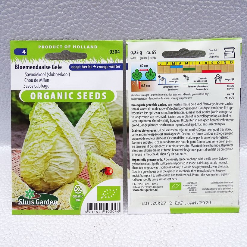 Example of Wirsing Bloemendaalse Gele Bio die Tüte mit 65 Samen (0,25g) as you get