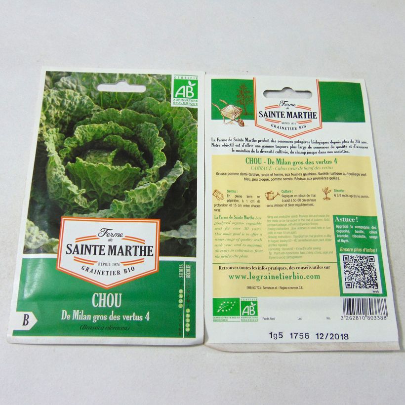 Example of Wirsing Große Tugenden (Gros Des Vertus 4) Bio - Ferme de Sainte Marthe per pack of 500 seeds (2g) as you get