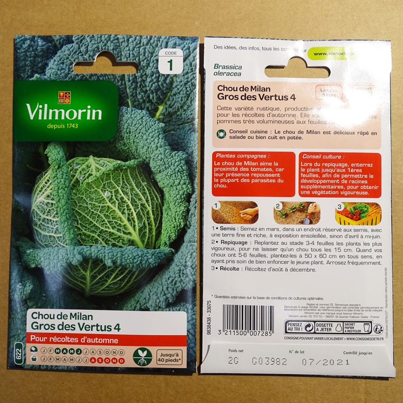 Example of Wirsing Große Tugenden (Gros des Vertus) - Vilmorin die Tüte mit 800 Samen (2g) as you get