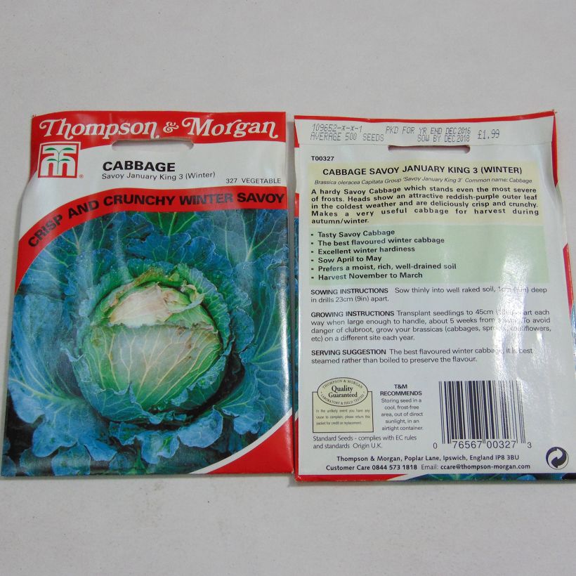 Example of Wirsing January King 3 per pack of 500 seeds as you get
